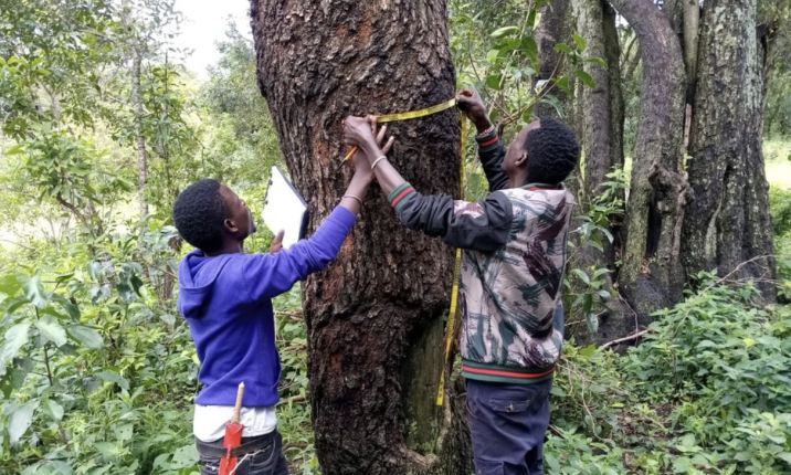 British Institute of Eastern Africa